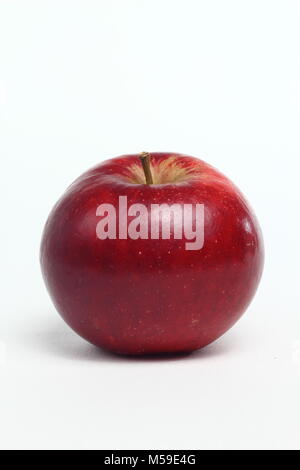 Malus domestica "Diavolo Rosso", un inglese di varietà di mele, sfondo bianco UKbritish Foto Stock