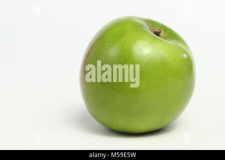 Malus domestica "Balsamo verde', un cimelio di famiglia inglese varietà di mele, sfondo bianco, REGNO UNITO Foto Stock