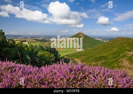 Roseberry Topping North York Moors,North Yorkshire, Regno Unito Foto Stock