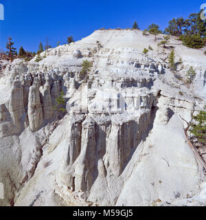 Rocce erose in bianco area di terra lungo il canyon Traghetto lago vicino winston, montana Foto Stock