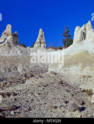 Erosi pinnacoli di ceneri vulcaniche e sedimenti terziari in terra bianca area vicino winston, montana Foto Stock