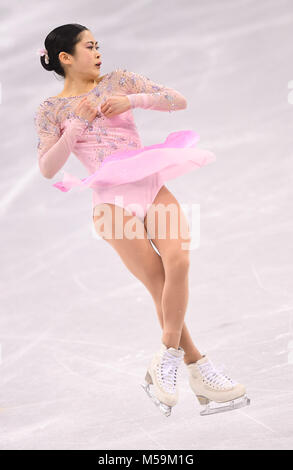 Pyeongchang, Corea del Sud. Il 21 febbraio, 2018. Satoko Miyahara del Giappone compete durante il ladies pattinaggio singolo breve programma di pattinaggio di figura al 2018 PyeongChang Olimpiadi invernali in Gangneung Ice Arena, Corea del Sud, nel febbraio 21, 2018. Satoko Miyahara ha ottenuto il quarto posto con punti 75.94. Credito: Wang Haofei/Xinhua/Alamy Live News Foto Stock