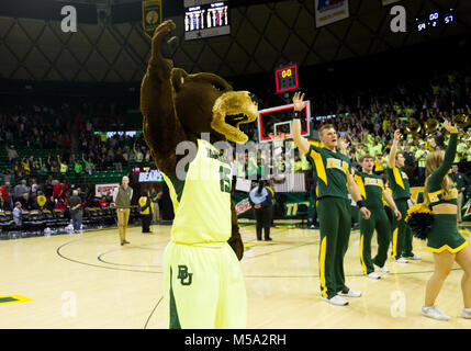 Waco, Texas, Stati Uniti d'America. Xvii Feb, 2018. Baylor Bears mascotte e cheerleaders festa dopo il NCAA pallacanestro tra il Texas Tech Red Raiders e Baylor porta al centro di Ferrell a Waco, Texas. Matthew Lynch/CSM/Alamy Live News Foto Stock