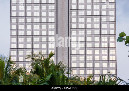 Miami Florida, Southeast Financial Center, Southeast, centro, grattacieli alti grattacieli costruire edifici finestre, simmetria, architettura moderna, Piazza Foto Stock