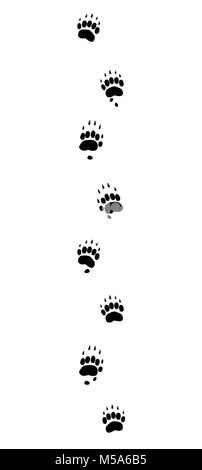 Badger tracce. Footprint tipica con lunghi artigli - icona nera illustrazione su sfondo bianco. Foto Stock