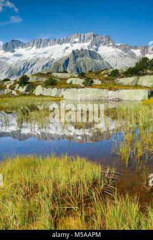 Dammastock, 3630m, Göscheneralp, Uri, Schweiz Foto Stock