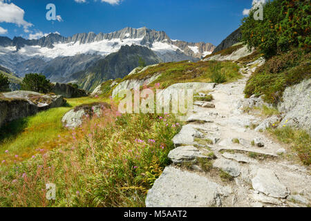 Dammastock, 3630m, Göscheneralp, Uri, Schweiz Foto Stock