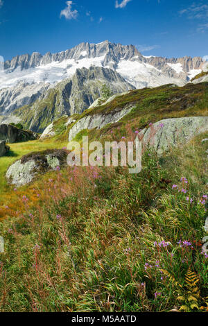 Dammastock, 3630m, Göscheneralp, Uri, Schweiz Foto Stock