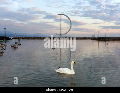 Cigno sul Lago di Ginevra a Losanna, Svizzera Foto Stock
