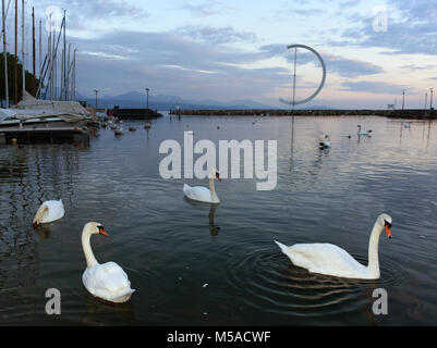 Terrapieno sul Lago Lemano a Losanna con cigni e yacht alla serata, Svizzera Foto Stock