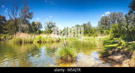 Dechantlacke è uno dei molti stagni del Danubio Auen Parco Nazionale di Vienna. Foto Stock