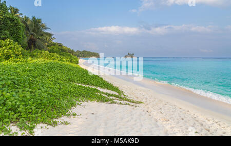Anse Royale spiaggia sabbiosa a Mahe Seychelles. Foto Stock