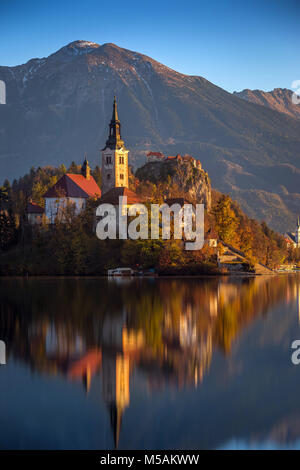 Bled, Slovenia - Lago di Bled, su una bella mattina di autunno con la famosa chiesa di pellegrinaggio dell Assunzione di Maria e Castello di Bled e sulle Alpi Giulie Foto Stock