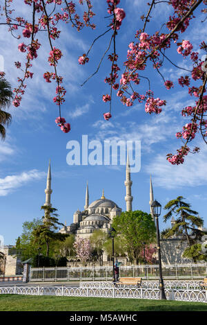 La Moschea Fatih, conquistatore la moschea, in primavera, Istanbul, Turchia Foto Stock