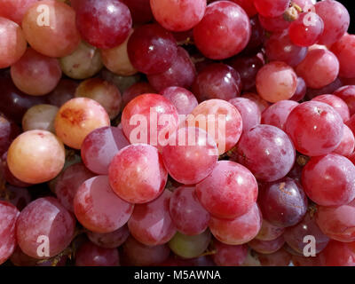 I grappoli di fresca Uva rosa sul contatore al mercato Foto Stock