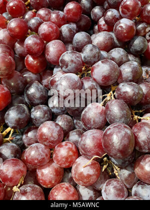 I grappoli di fresca uva rossa sul contatore al mercato Foto Stock