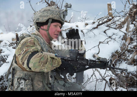 Spc. Zackery Williams, assegnato alla società di caricabatterie, 1° Battaglione, quinto reggimento di fanteria, 1° Stryker Brigade Combat Team, XXV divisione di fanteria, U.S. Esercito Alaska, segnali per il cessate il fuoco durante il funzionamento conca a base comune Elmendorf-Richardson, Alaska, il 10 febbraio, 2018. Funzionamento Conca è stato un battaglione-livello, bracci combinato, live-esercizio di incendio che si è concentrato sulla letalità artico. Durante il funzionamento di tre 150-soldato aziende manovrato attraverso vari terreni; attaccando e cogliendo le posizioni nemiche nonché eliminando le principali armi e veicoli essendo utilizzati dal nemico. (U.S. Air Force Foto Stock