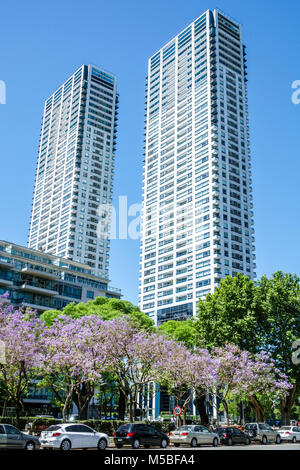 Buenos Aires Argentina, Puerto Madero, Torres del Yacht, grattacielo, edifici residenziali, strada alberata, auto parcheggiate, esterno, ARG171125281 Foto Stock