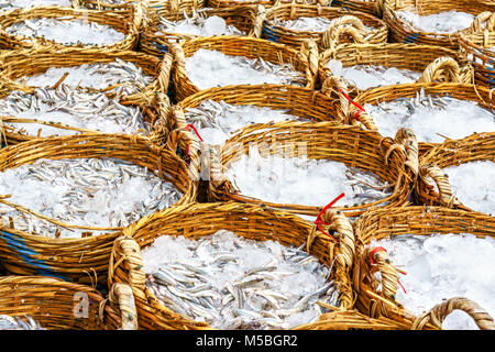 Il pesce appena pescato sulla spiaggia presso il villaggio di pescatori lungo Hai e lunga Hai mercato, Ba Ria Vung Tau, Vietnam Foto Stock