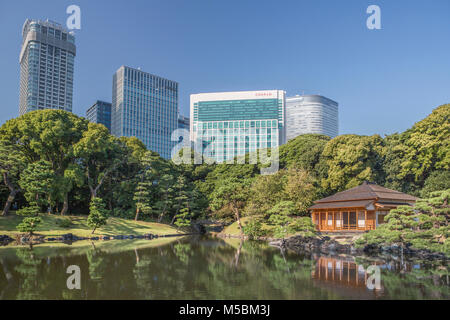 Giappone Tokyo City, Hama Rykiu giardino, Shimbashi Skyline Foto Stock