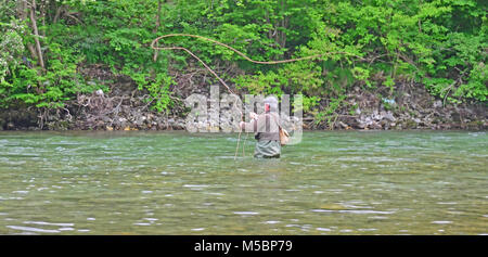 Un fly-pescatore guadare in acque profonde getta un volo in un limpido fiume Foto Stock