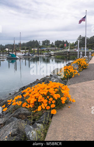 Bandon,Oregon,Stati Uniti d'America - 7 Giugno 2017 : La passeggiata del porto di Bandon Foto Stock