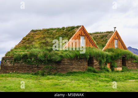 Due case verdi con gras tetto in Islanda in estate Foto Stock