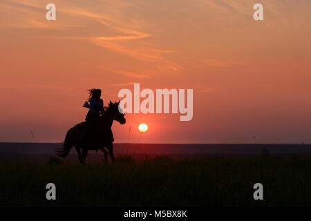 Cavallo al galoppo sul tramonto. Cavallo equitazione donna galoppo con red Rising Sun sull'orizzonte. Сolorful sfondo con cavalli e ragazze silhouette Foto Stock