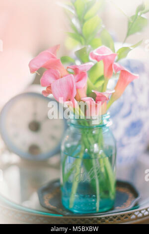 Calla lilies in caraffa Foto Stock