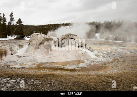 La cottura a vapore Grotto Geyser in Upper Geyser Basin nel Parco Nazionale di Yellowstone, Wyoming in inverno. Foto Stock