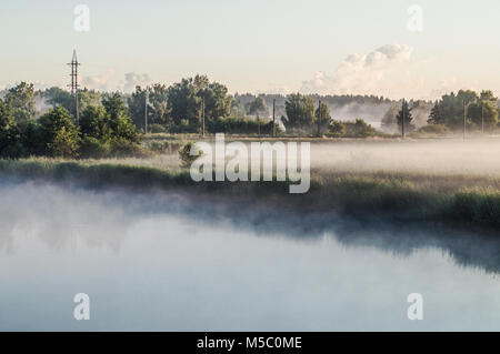 White nebbia di mattina su un prato verde campo vicino al lago. Foto Stock