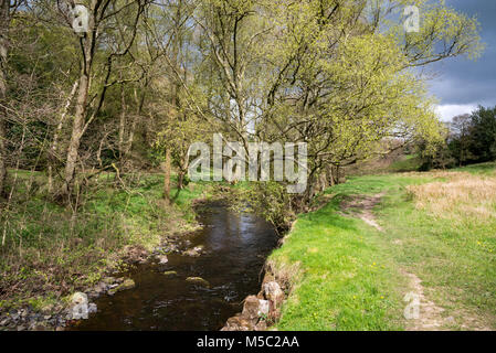 Il sentiero lungo il fiume Goyt vicino a Taxal nel Goyt Valley, Derbyshire, in Inghilterra. Foto Stock