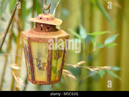 Giardino di piante in vaso isolandole dalle piante infestanti e altre piante invasive Foto Stock