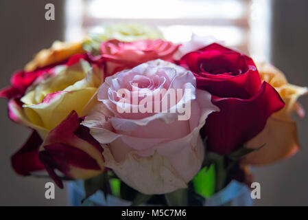 Mazzo di rose nella parte anteriore della finestra con luce naturale Foto Stock