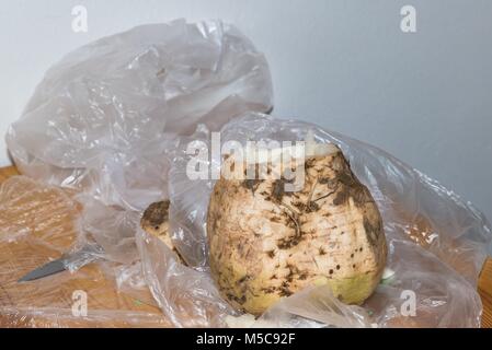 La barbabietola da zucchero è ottenere forati Foto Stock