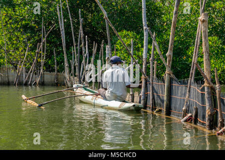 Un pescatore in una canoa outrigger sulla Madu Ganga river, Balapitiya, Galle District, sud della provincia, Sri Lanka, Sud Asia Foto Stock