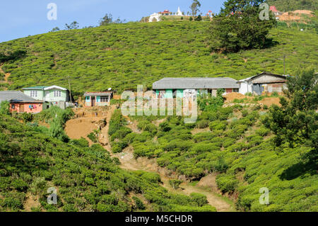Piccolo villaggio alloggiamento la piantagione di tè di lavoratori in Nuwara Eliya Distretto, Provincia centrale, Sri Lanka, Sud Asia Foto Stock