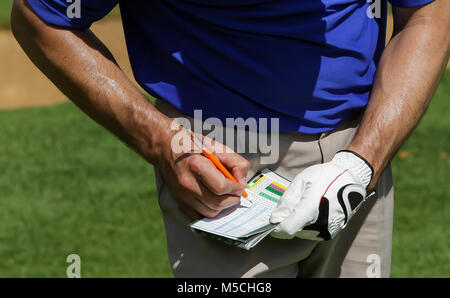 Il Golfer tenere il punteggio sulla scorecard, Close up le braccia e le mani di un giocatore di golf sudate strizzare verso il basso punteggio ottenuto Foto Stock