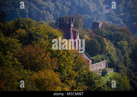 Mittelburg, Neckarsteinach, Assia, Deutschland Foto Stock