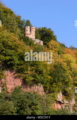 Schwalbennest Burgruine, Schadeck eigentlich bei Neckarsteinach im Landkreis Bergstraße Foto Stock