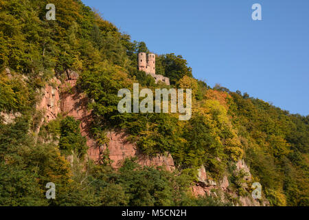 Schwalbennest Burgruine, Schadeck eigentlich bei Neckarsteinach im Landkreis Bergstraße Foto Stock