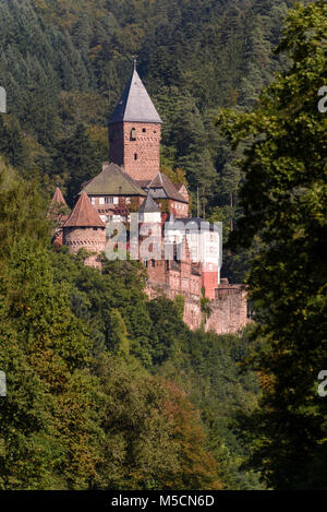 Schloss Zwingenberg, Zwingenberg-Neckar, Baden-Württemberg, Deutschland Foto Stock