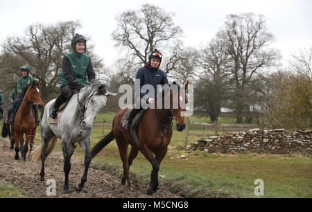 Bristol de Mai e quello nuovo sul galoppa a Nigel Twiston-Davies' cantiere durante la visita di stabile a Grange Hill Farm, Cheltenham. Foto Stock