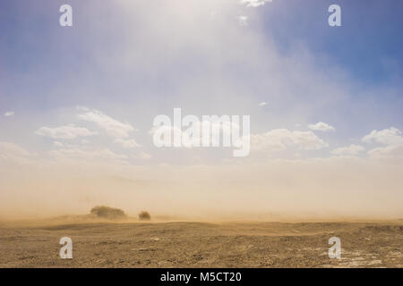 Luce splende attraverso la risalita di grani di una tempesta di sabbia nel vasto deserto caldo. Foto Stock