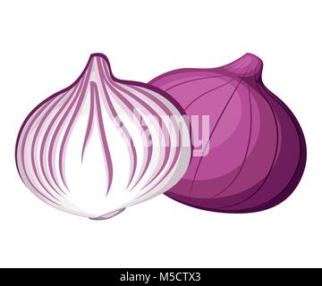 Fresco di cipolla rossa e un pezzetto di cipolla ortaggio dal giardino cibo organico illustrazione vettoriale isolati su sfondo bianco pagina del sito web e mobile ap Illustrazione Vettoriale