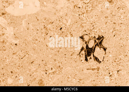 Color arancio texture di marmo Foto Stock