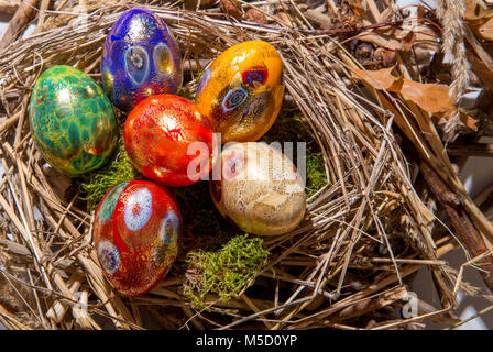 Sei verniciato colorato le uova di Pasqua in un nido Foto Stock