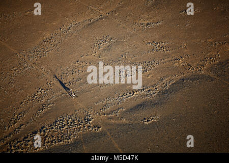 Vista aerea, gemsbok (Oryx gazella) con ombra nel paesaggio arido, Gondwana Namib Park, vicino a Sesriem, Regione di Hardap, Namibia Foto Stock