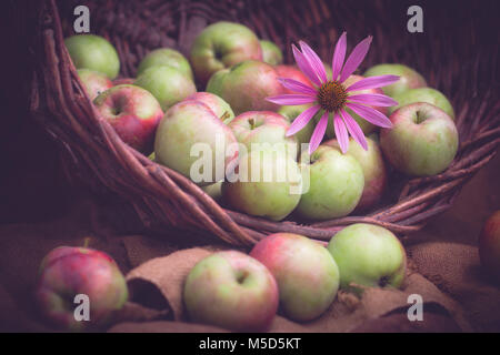 Apple, basket, fioritura, composizione, scuro, deliziosi, cibo, frutta verde natura organica, rosso, aspro, still life, estate, dolce, vegetariano Foto Stock