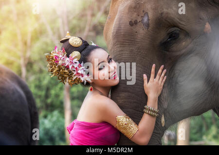 Bella ragazza tailandese nel tradizionale abito tailandese con elefante Foto Stock